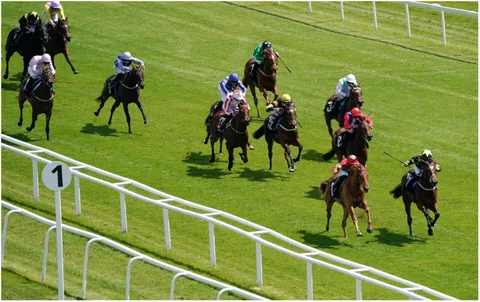 Common Mistakes to Avoid When Betting on Horse Racing